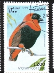 Stamps Afghanistan -  Pájaros