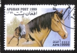 Stamps Afghanistan -  Caballos