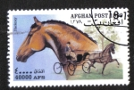 Stamps : Asia : Afghanistan :  Caballos