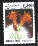 Stamps Afghanistan -  Cactus
