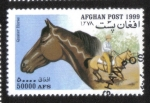 Stamps Afghanistan -  Caballos