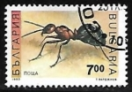 Sellos de Europa - Bulgaria -  Hormiga roja