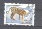 Stamps Hungary -  guepardo RESERVADO