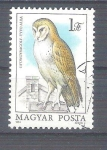 Stamps Hungary -  tyto alba