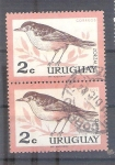 Stamps : America : Uruguay :  zorzal RESERVADO