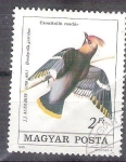 Stamps Hungary -  bombycilla garrulus