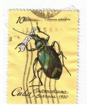 Stamps : America : Cuba :  Entomosfauna  Calosoma Splendida