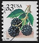 Sellos de America - Estados Unidos -  Moras