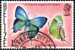 Stamps Belize -  MARIPOSA  PEINADO  REAL