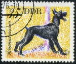 Stamps Germany -  Perro
