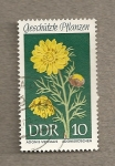 Stamps Germany -  Plantas protegidas:Adonis vernalis
