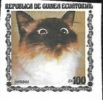 Stamps Equatorial Guinea -  Gatos - Felis silvestris catus