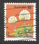 Stamps Australia -  564 - La Flor de Papel