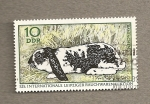 Stamps Germany -  Conejo.525 Subasta articulos tabaco