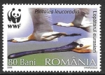 Stamps Romania -  aves