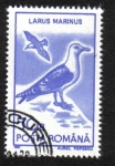 Stamps Romania -  Aves Acuáticas 1991