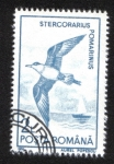 Sellos de Europa - Rumania -  Aves Acuáticas 1991