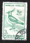 Sellos de Europa - Rumania -  Aves Acuáticas 1991