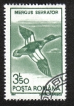 Stamps Romania -  Aves Acuáticas 1991