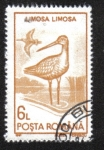 Stamps Romania -  Aves Acuáticas 1991