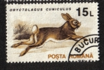 Stamps Romania -  Mamiferos