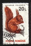 Stamps Romania -  Mamiferos