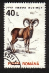 Stamps Romania -  Mamiferos