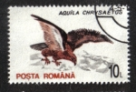 Sellos de Europa - Rumania -  Aves 1993-1996