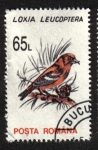 Sellos de Europa - Rumania -  Aves 1993-1996