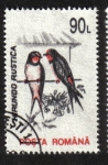 Sellos de Europa - Rumania -  Aves 1993-1996