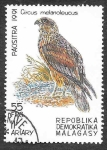Stamps Madagascar -  1030 - Aguilucho Pío