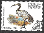 Stamps Madagascar -  1032 - Ibis Sagrado