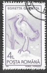 Stamps Romania -  3645 - Garceta Común