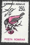 Stamps Romania -  3821 - Estornino Rosado