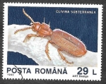 Stamps Romania -  3875 - Clivina Subterránea