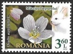 Stamps : Europe : Romania :  flores