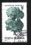 Sellos de Europa - Rumania -  Árboles, Roble común (Quercus robur)