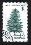 Stamps Romania -  Árboles, Alerce europeo (Larix decidua)