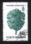 Stamps Romania -  Árboles, Fresno norteño (Fraxinus excelsior)