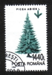 Stamps Romania -  Árboles, Abeto común (Picea abies)