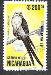 Stamps : America : Nicaragua :  C1173 - Elanio Tijereta