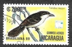 Stamps : America : Nicaragua :  C1176 - Batará Mayor