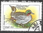 Stamps Hungary -  3136 - Cerceta Común