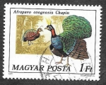 Stamps Hungary -  2473 - Pavo Real del Congo