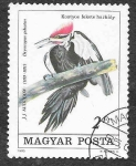 Stamps Hungary -  2930 - Picamadero Norteamericano
