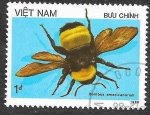 Stamps : Asia : Vietnam :  1706 - Abejorro Americano