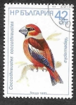 Stamps Bulgaria -  3285 - Picogordo Común