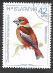 Stamps : Europe : Bulgaria :  3285 - Picogordo Común