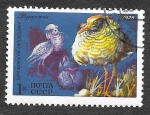 Stamps Russia -  4361 - Combatiente
