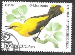 Stamps Russia -  4776 - Oropéndola Europea